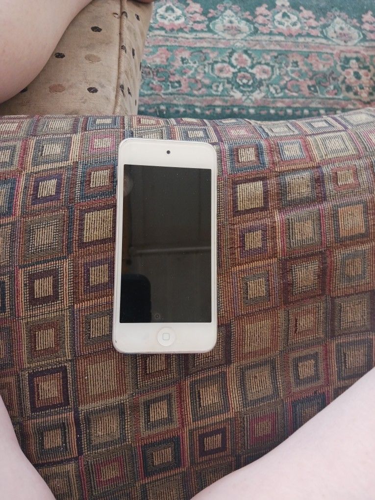 Ipod Touch 5th Gen