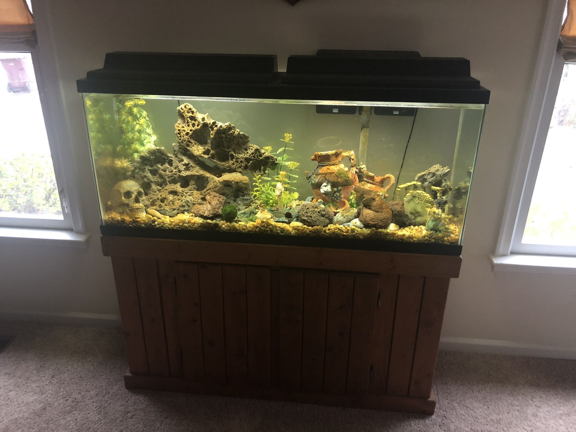 55 gallon aquarium with decor, filters, cleaning/filling hose