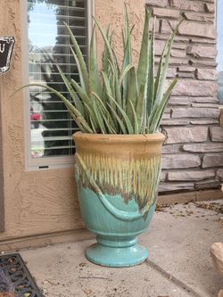 20" H - Glazed ceramic planter with a pedestal base, turquoise & brown drip glaze with aloe