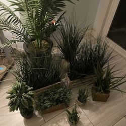 Lot Of Fake Plants