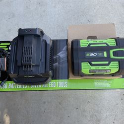 E Go Battery And Charger 
