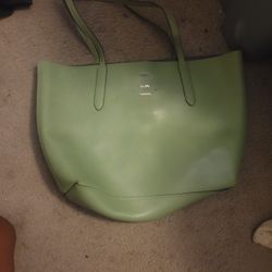 Olive Green Purse 