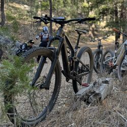 Trek Fuel EX 2023 - M