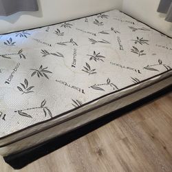 Free Box Spring And  Mattress  For Recycle 