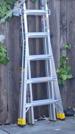 Gorilla ladder 2