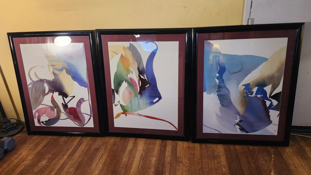 3 Piece Framed Art Set.