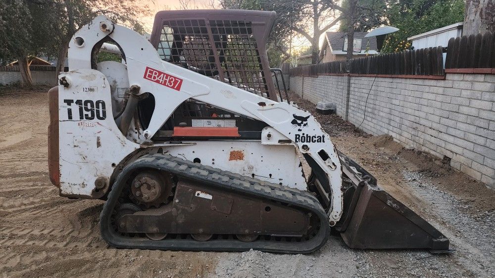 Bobcat