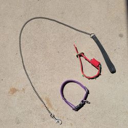 S/m Dog Collar Leash