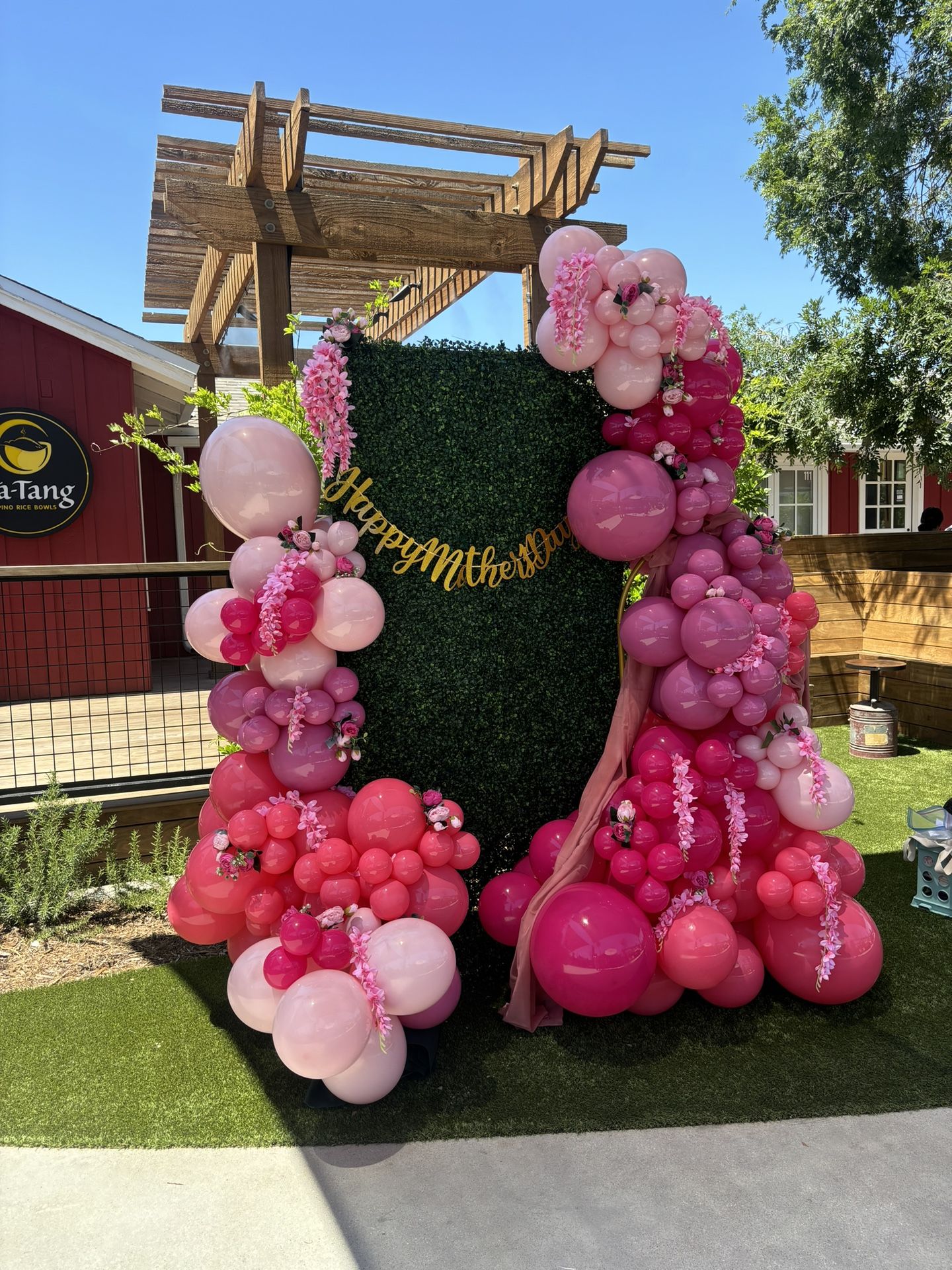Balloon Garland