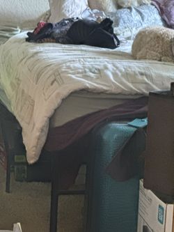 Bed $100