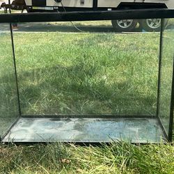 20 gallon fish tank 