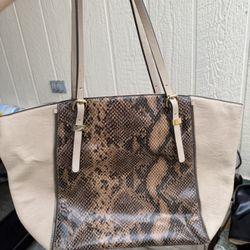 purse