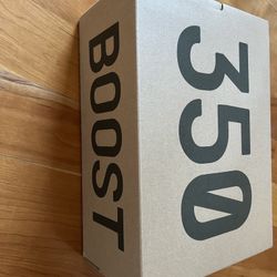 Yeezy Boost 350 V2 hyperscape Size 11
