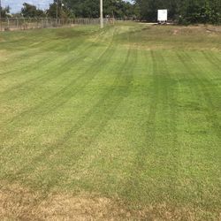 Mower