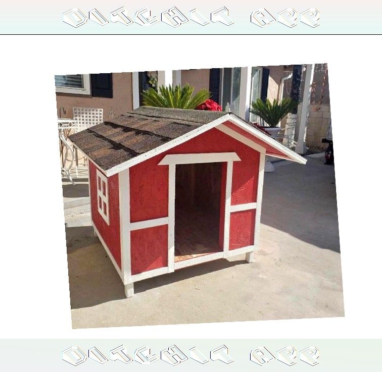 late everything Special Dog Houses - Made for Your Pet's Specific Needs