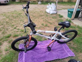 Tony Hawk Bike