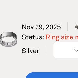 Oura Ring 4 Silver