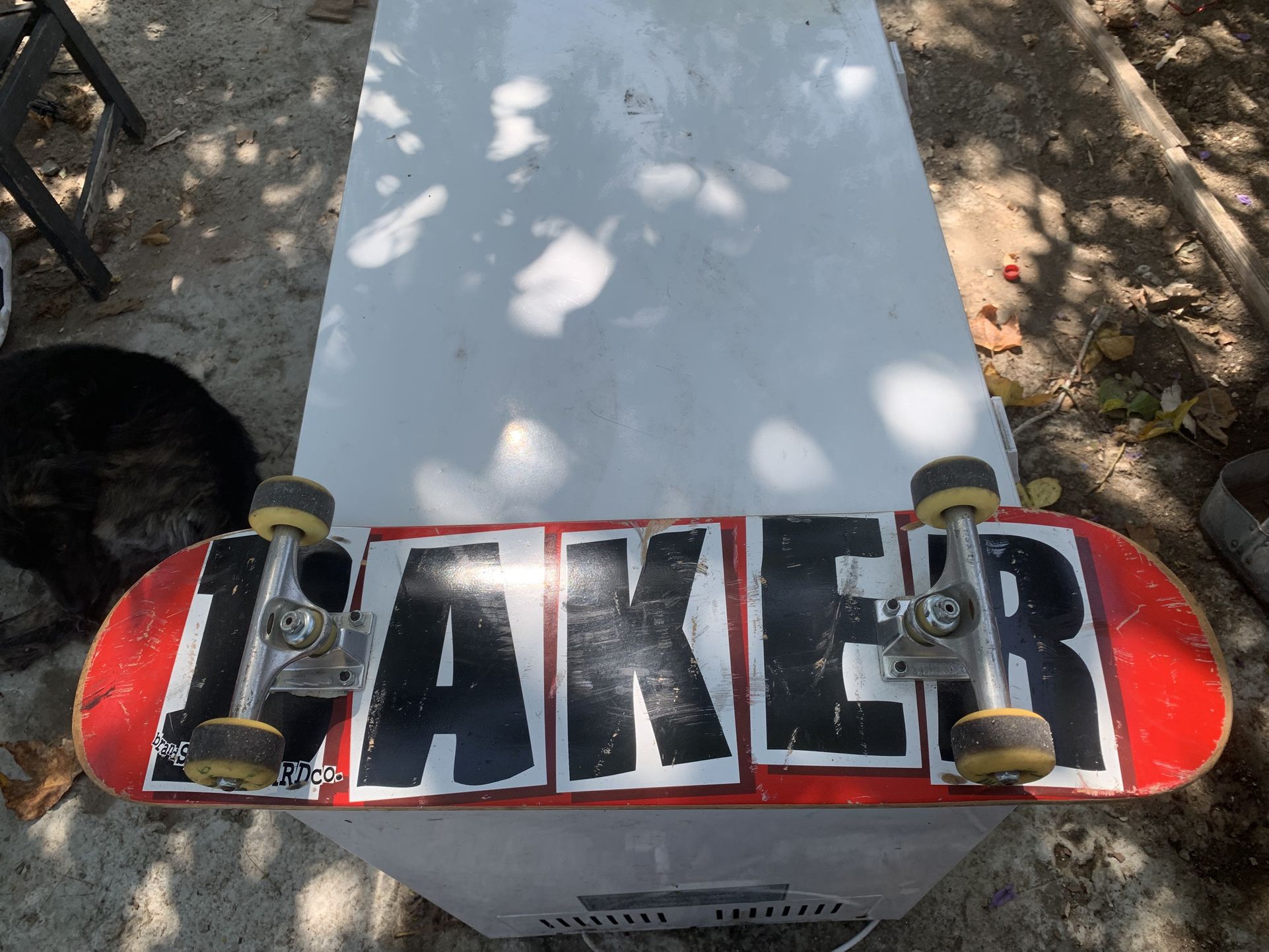 Skateboard