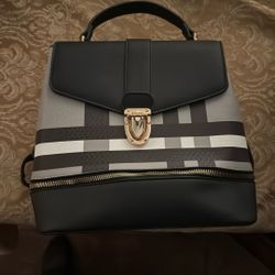 Backpack/Purse