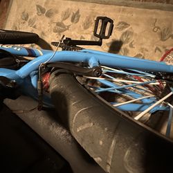 Se Bike 29 Inch Big Flyer