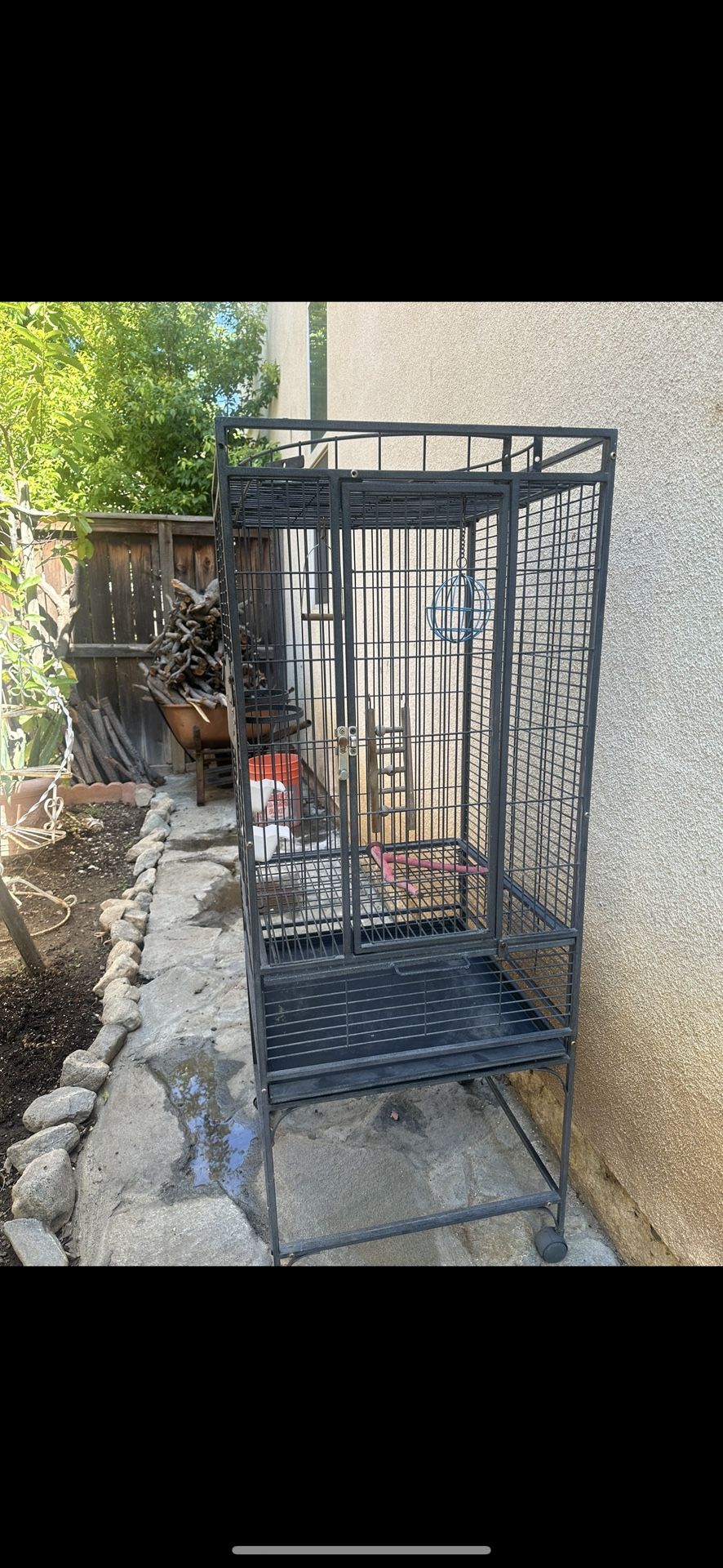 Bird Cage
