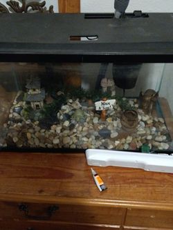 Fish Tank