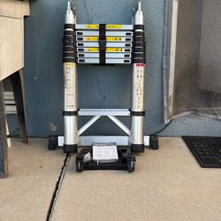 Multi Purpose Telescopic Ladder