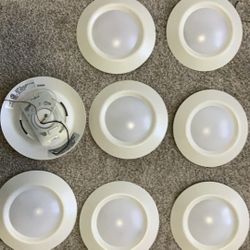 Flush Mount Ceiling Lighting