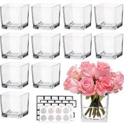 12 Square Glass Vases 