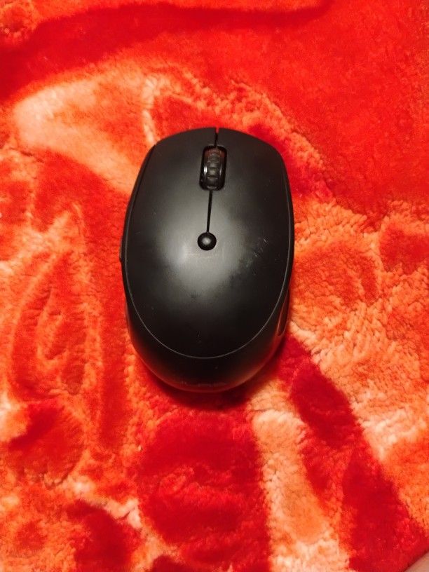 Mouse