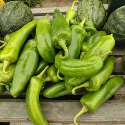 Chilies 