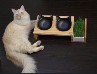 NEW - CUTE VIVIPET MYKONOS 2025 ELEVATED CAT BOWLS