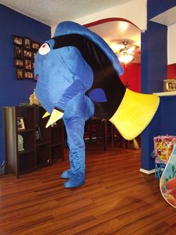 Dory disfras.