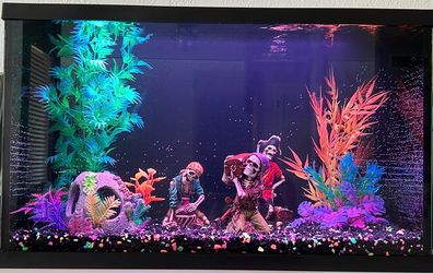 🐠 10-Gallon Fish Tank 🐟