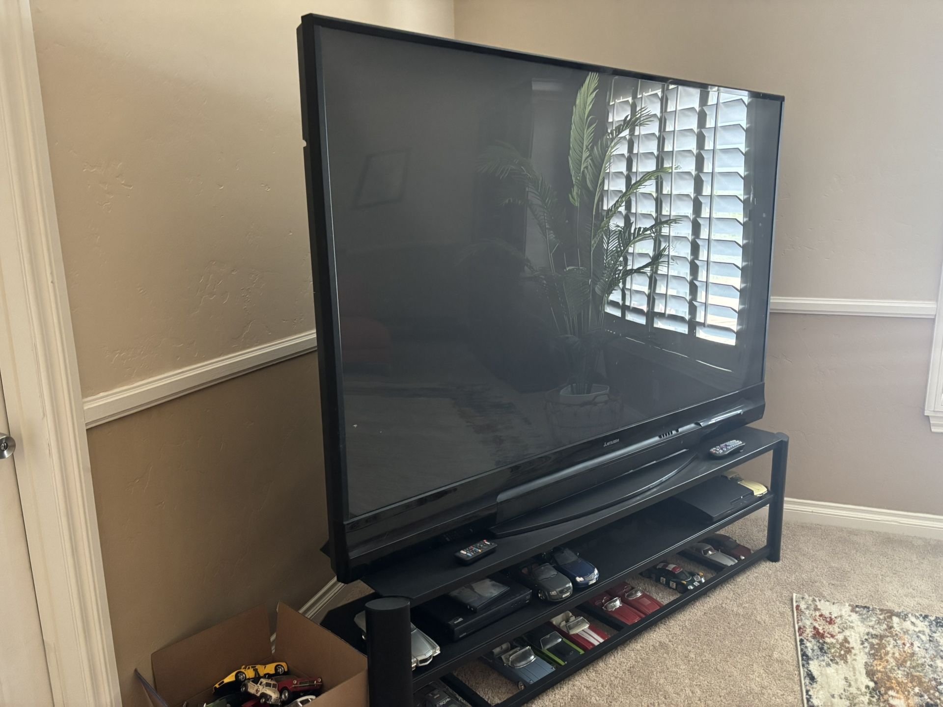 TV w/ Stand (81inch)