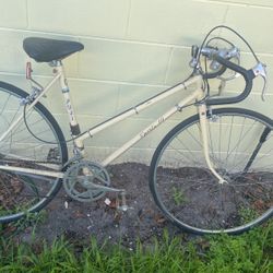 Vintage Female Fixed Gear 1970’s