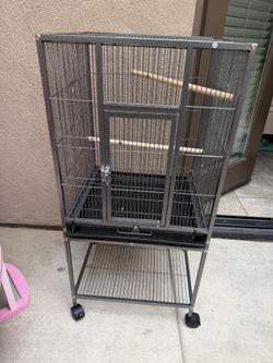 Bird Cage