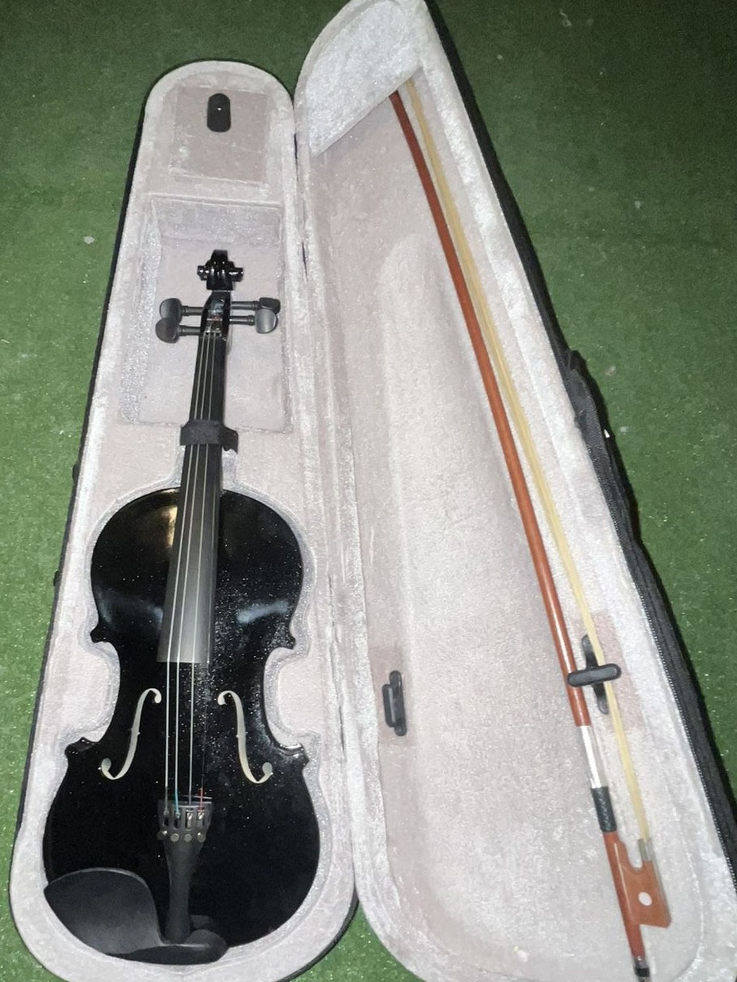 Violin And Case