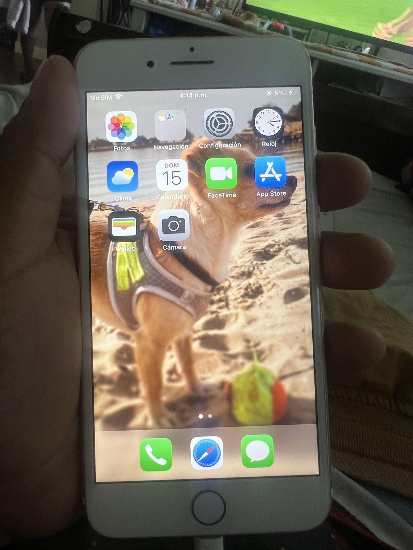 iPhone 7 Plus