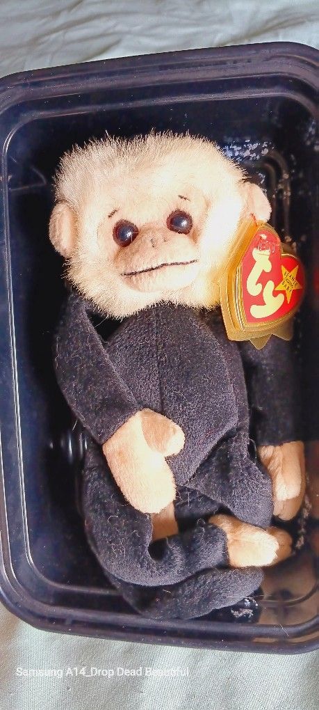"Mooch" The Beanie Baby W/wrong Tag