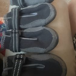 new doggie shoes medium