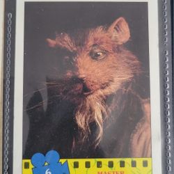 1990 Topps TMNT Movie Master Splinter #6 Rookie Card
