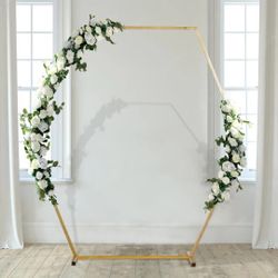 Hexagona Backdrop Stand