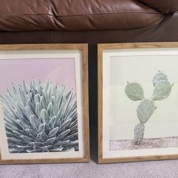 Wood Framed Succulent Art