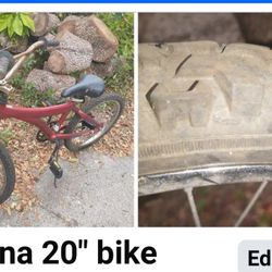 Working Great Magna 20" Bike 