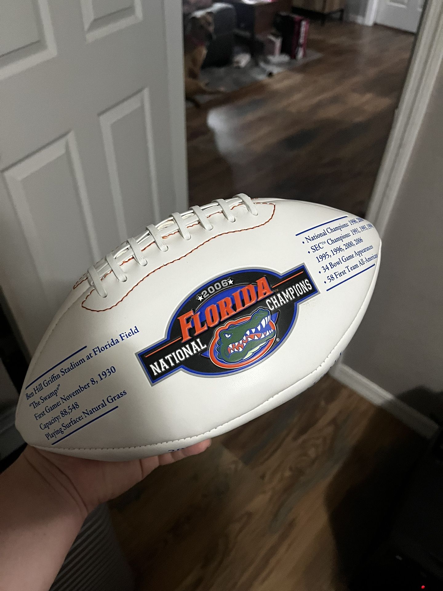 2006 Gators Football
