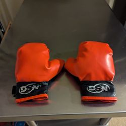 Kids Boxing Gloves 