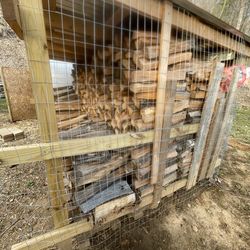 Firewood oak seasoned