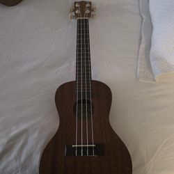 Ukulele 