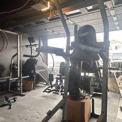 Ab/Leg Raise machine 